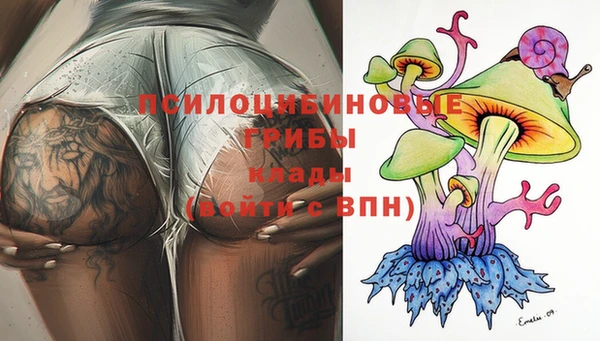 ешки Покачи