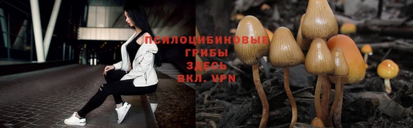 COCAINE Покров