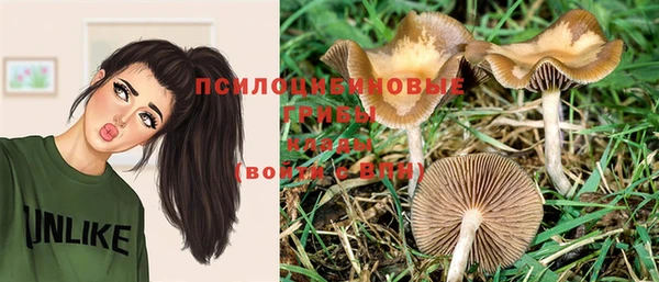 эйфоретик Покровск