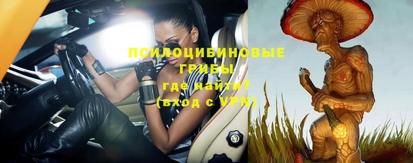 apvp Пестово
