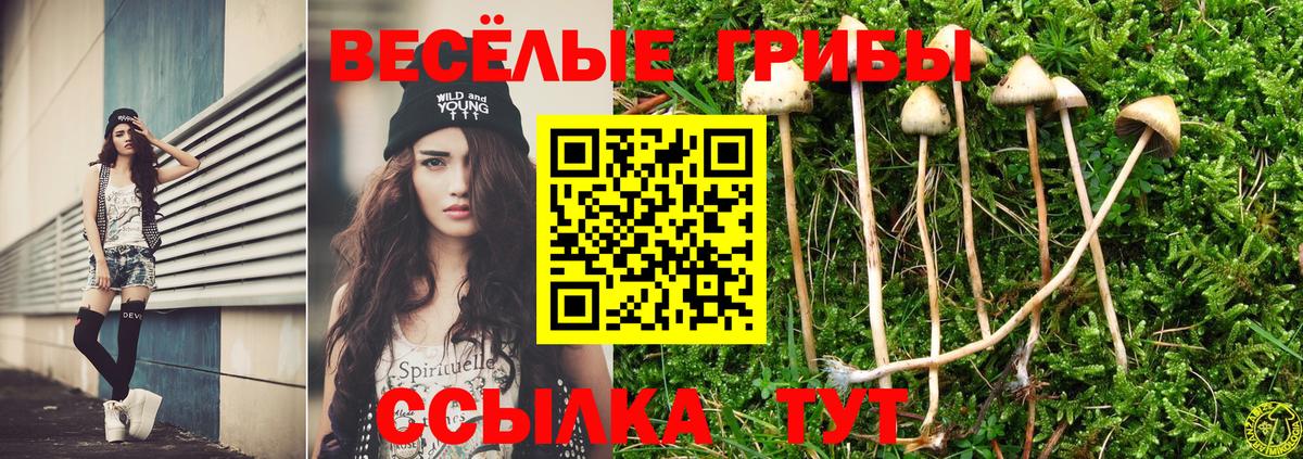 Псилоцибиновые грибы Magic Shrooms Бугуруслан