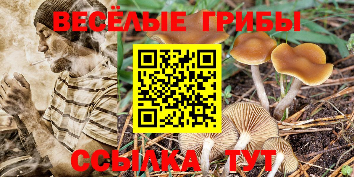 Бугуруслан  Псилоцибиновые грибы Magic Shrooms  Вход с VPN 